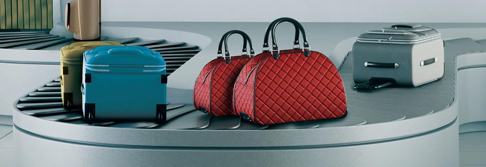 Enjoy priority baggage delivery at your arrival.